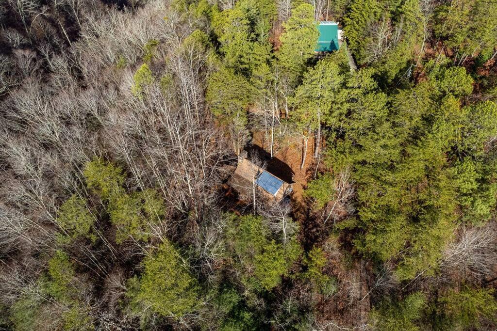 Very Private, Real Log Cabin With Hot Tub! 세비어빌 외부 사진