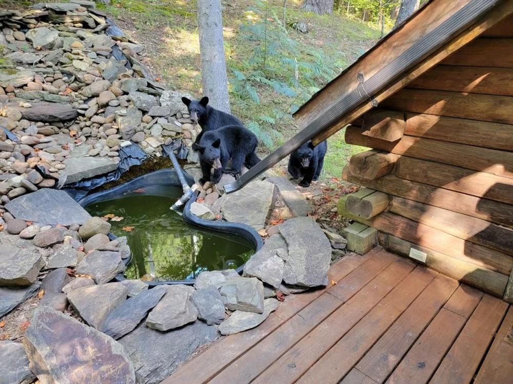 Very Private, Real Log Cabin With Hot Tub! 세비어빌 외부 사진